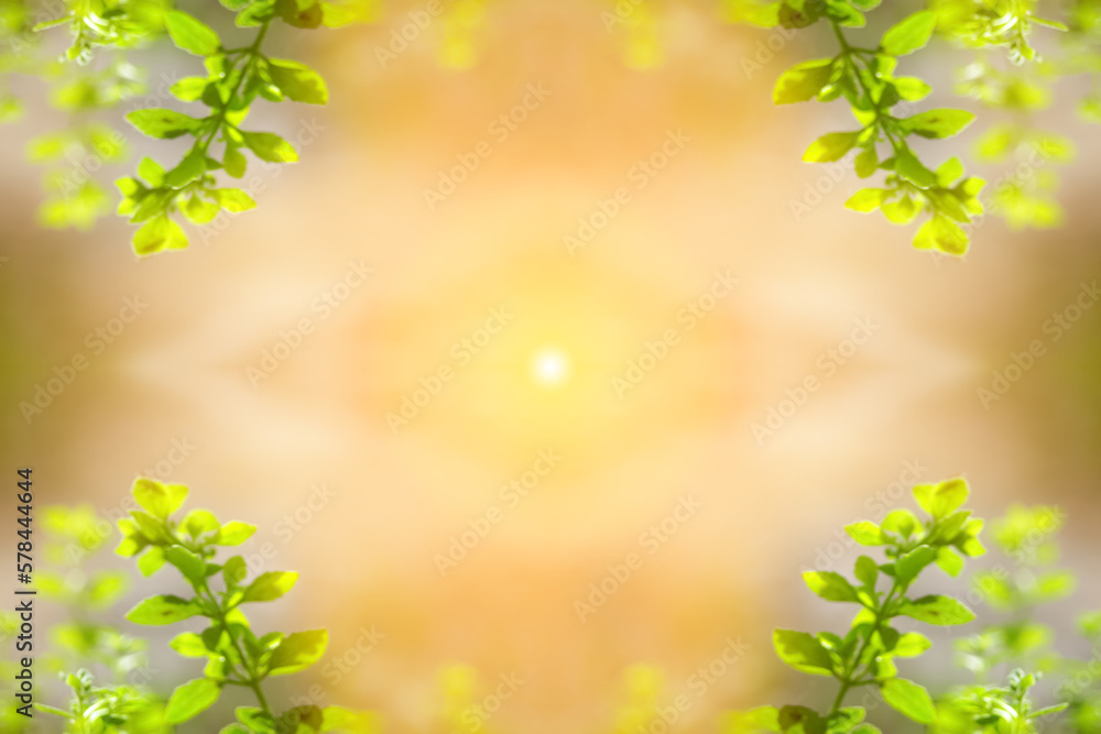 Blurred close up fresh nature view of green leaf on greenery background with copy space. Natural green plants landscape, ecology, fresh wallpaper concept. Wide border with sunny flare. Out of focus