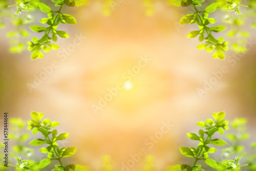 Blurred close up fresh nature view of green leaf on greenery background with copy space. Natural green plants landscape, ecology, fresh wallpaper concept. Wide border with sunny flare. Out of focus