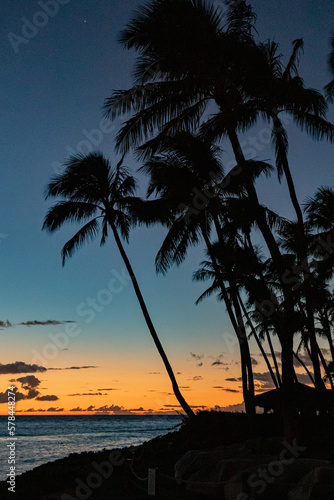Maui, Hawaii © Christopher