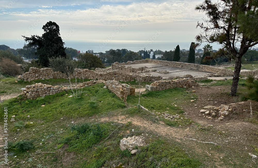 Roman Villa Foundation Ruins, Carthage Archaeological Site, Tunis