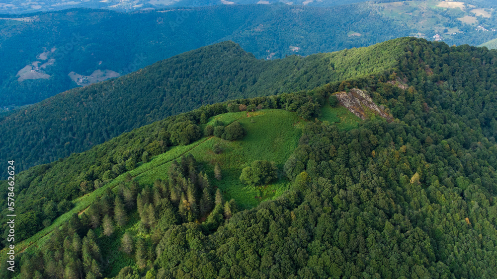 Montagne entièrement recouverte de verdures et de végétation dans les Pyrénées. Colline verte couverte de sapins et jonchée de pâturages.