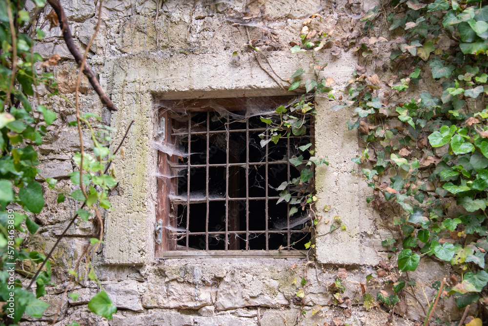 Steel bars in old window. Cobwebs and ivy. Steel bars in old window. Cobwebs and ivy.