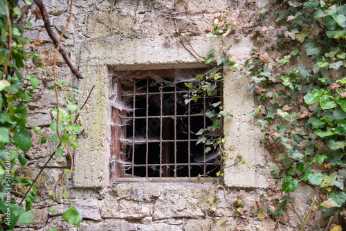 Steel bars in old window. Cobwebs and ivy. 