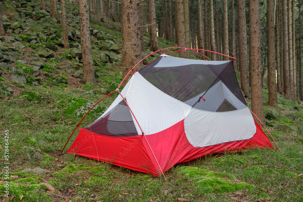 Lightweight freestanding three-season 2-person tent, inner tent body without rainfly, on forest in the evening in spruce forest  in Beskid Mountains