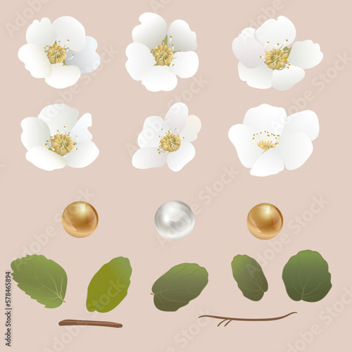 Set of vector delicate white flowers, leaves, gems, gold and white pearls for wallpaper design. card for holidays and celebrations
