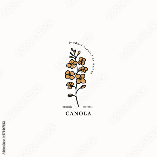 Line art canola or rapeseed plant illustration	