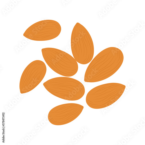 Almond seeds isolated on white background, flat style illustration. Vector illustration