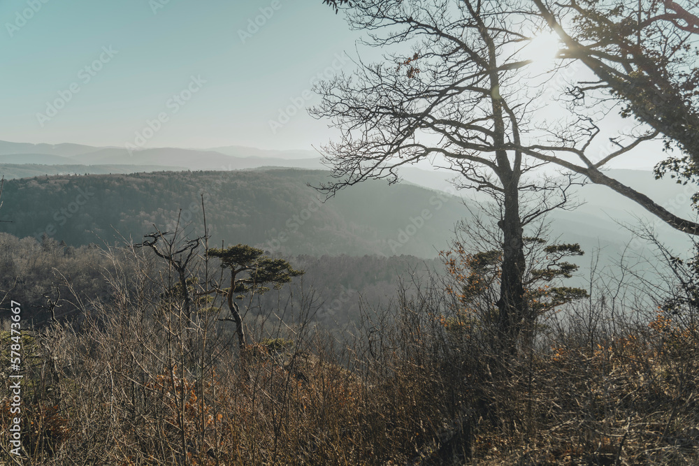 fog on the river