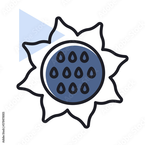 Sunflower outline icon. Vegetable vector