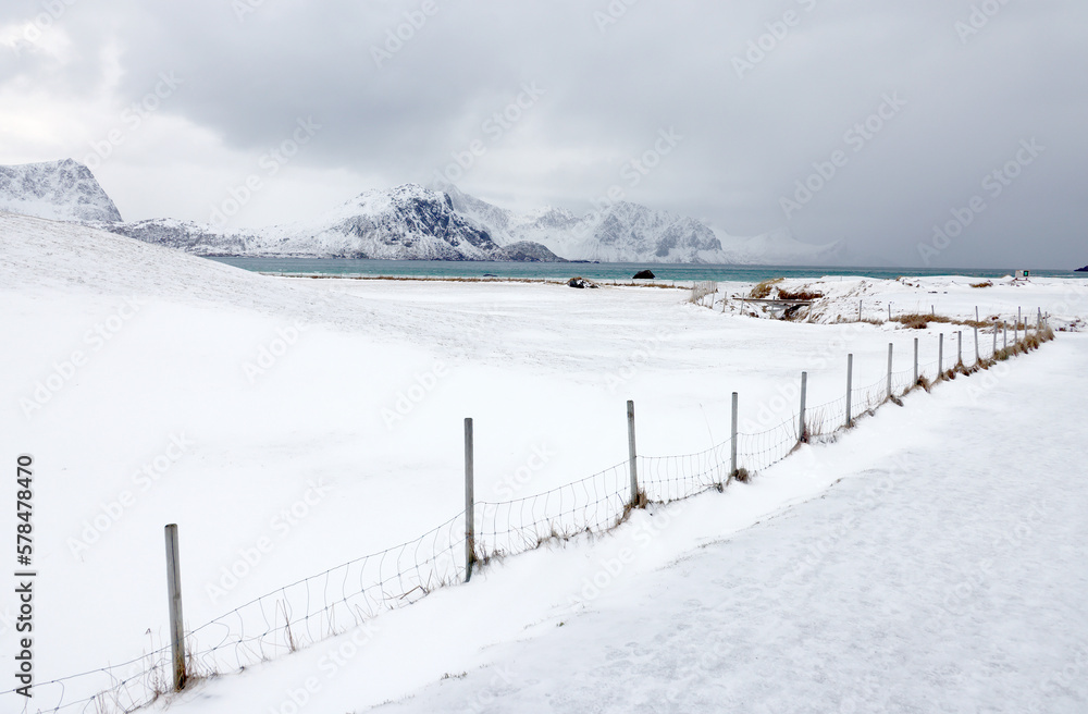 Obraz premium Harsh winter landscape in Lofoten Archipelago, Uttakleiv Beach, Norway, Europe. Cold landscape in Lofoten Islands.