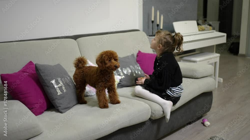 The girl is watching TV with a dog next to her The girl is watching TV with a dog next to her