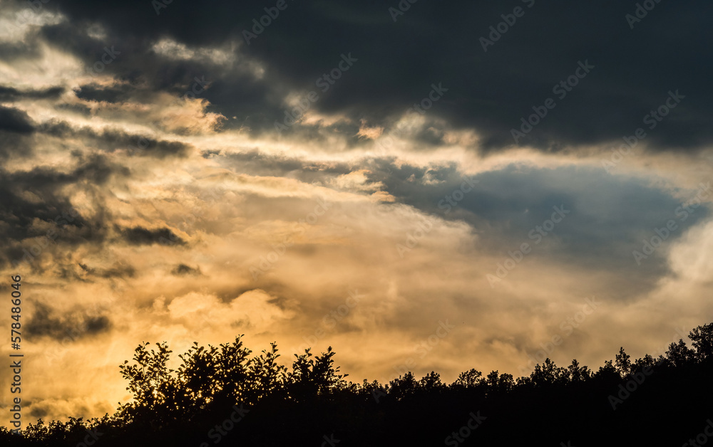 A lovely sunset in Jena at summer with a tree line in front, copy space