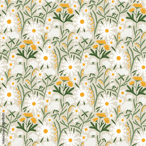 Daisy, tansy and yarrow field pattern illustration