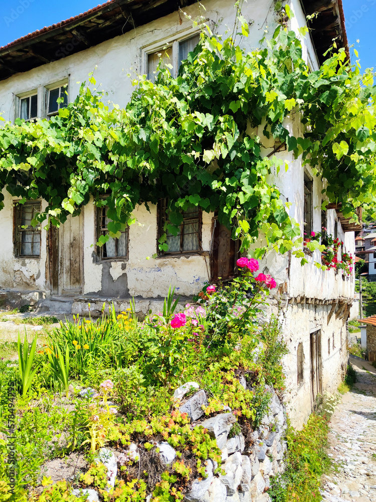 Fototapeta premium Village of Delchevo, Blagoevgrad region, Bulgaria
