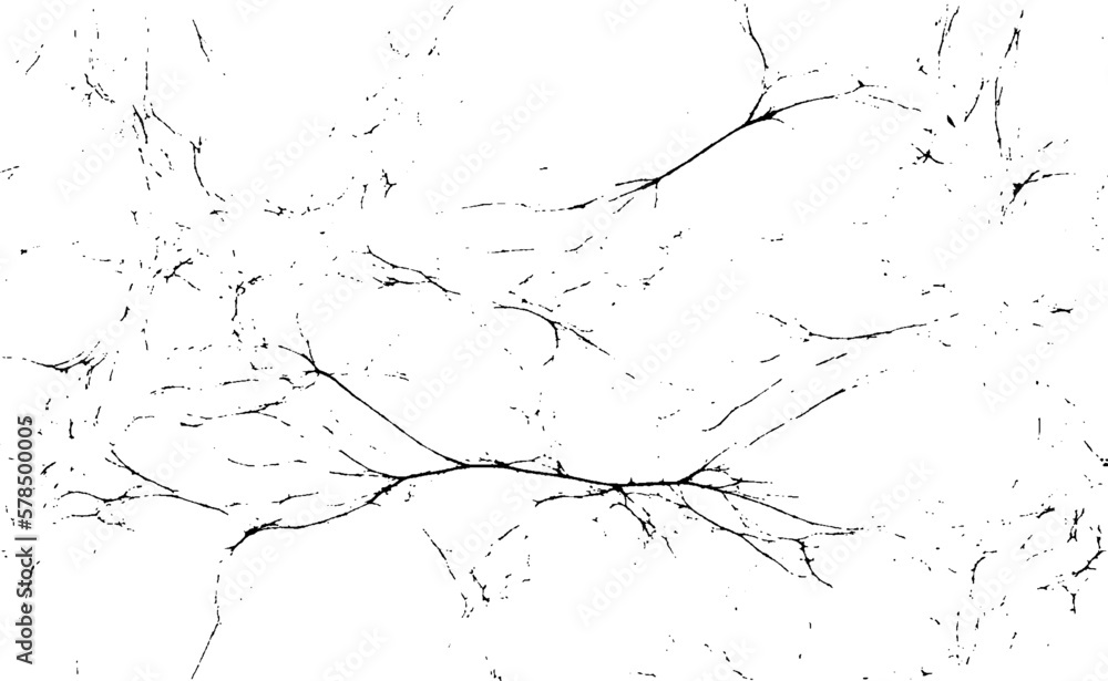 Scratched and Cracked Grunge Urban Background Texture Vector. Dust Overlay Distress Grainy Grungy Effect. Distressed Backdrop Vector Illustration. Isolated Black on White Background. EPS 10. Scratched and Cracked Grunge Urban Background Texture Vector. Dust Overlay Distress Grainy Grungy Effect. Distressed Backdrop Vector Illustration. Isolated Black on White Background. EPS 10.