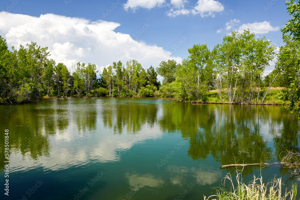 Fototapeta premium A picturesque lake in Belmar Park, Colorado with reflections of a blue sky, white clouds and a mixed forest setting.