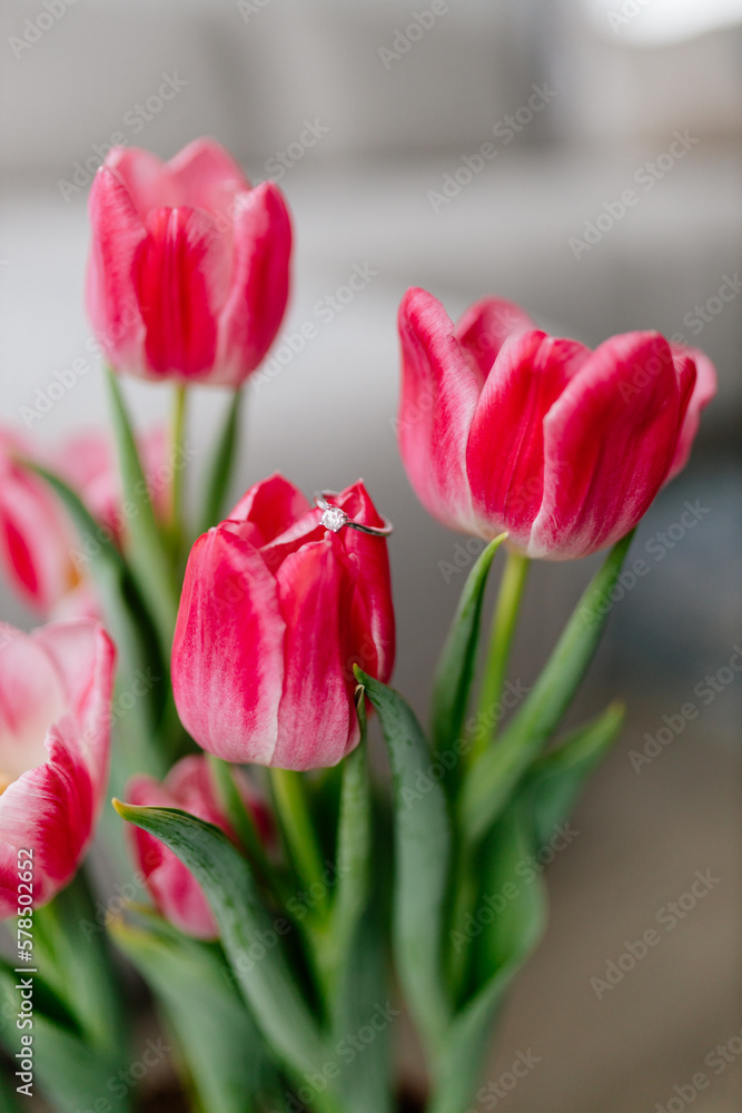 Obraz premium Pink tulips and engagement rings with diamonds on background with beautiful bokeh in modern interior. Background for Valentine's Day. Gift for Mother's Day, international Women's Day, March 8th