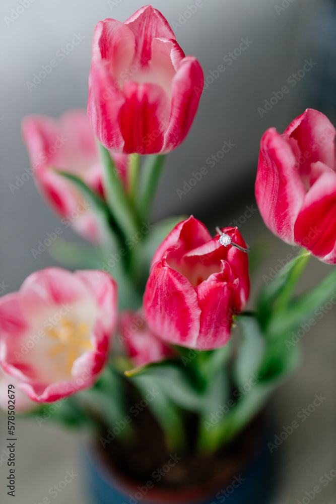 Fototapeta premium Pink tulips and engagement rings with diamonds on background with beautiful bokeh in modern interior. Background for Valentine's Day. Gift for Mother's Day, international Women's Day, March 8th