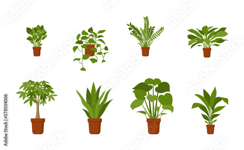 Home flowerpot plants vector illustration set. Indoor house office green decoration nature lifestyle clip art flat style collection