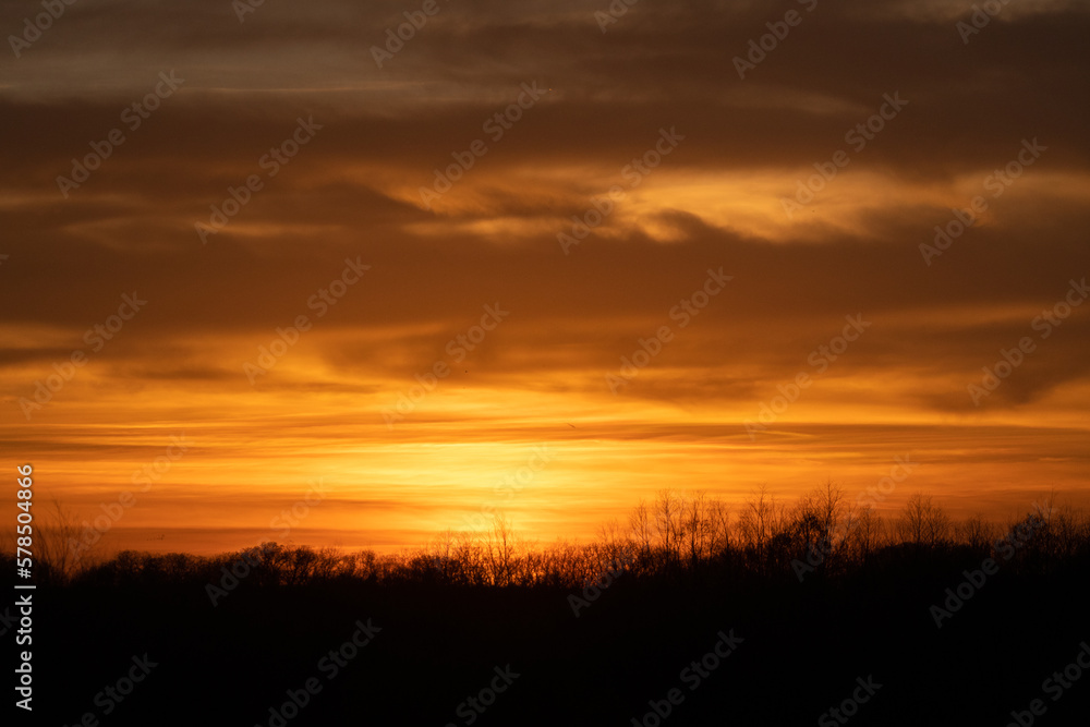 Fiery, orange clouds filling the sky in the golden hour at sunset with bare trees silhouetted on the horizon below.