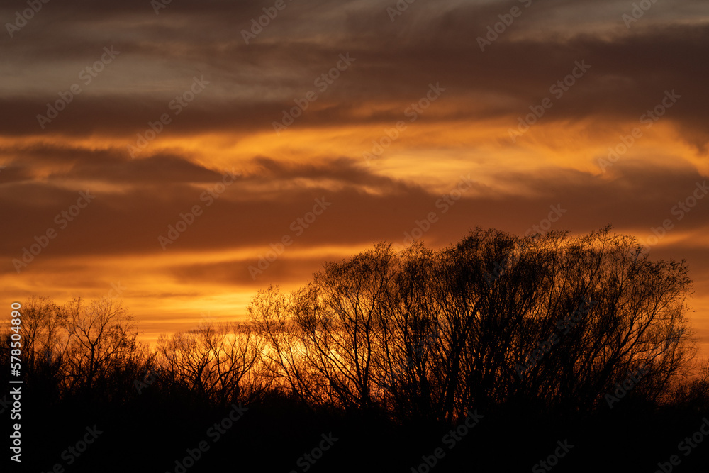 Leafless tree branches on the horizon silhouetted by the fiery orange clouds and sky during the golden hour at sunset.