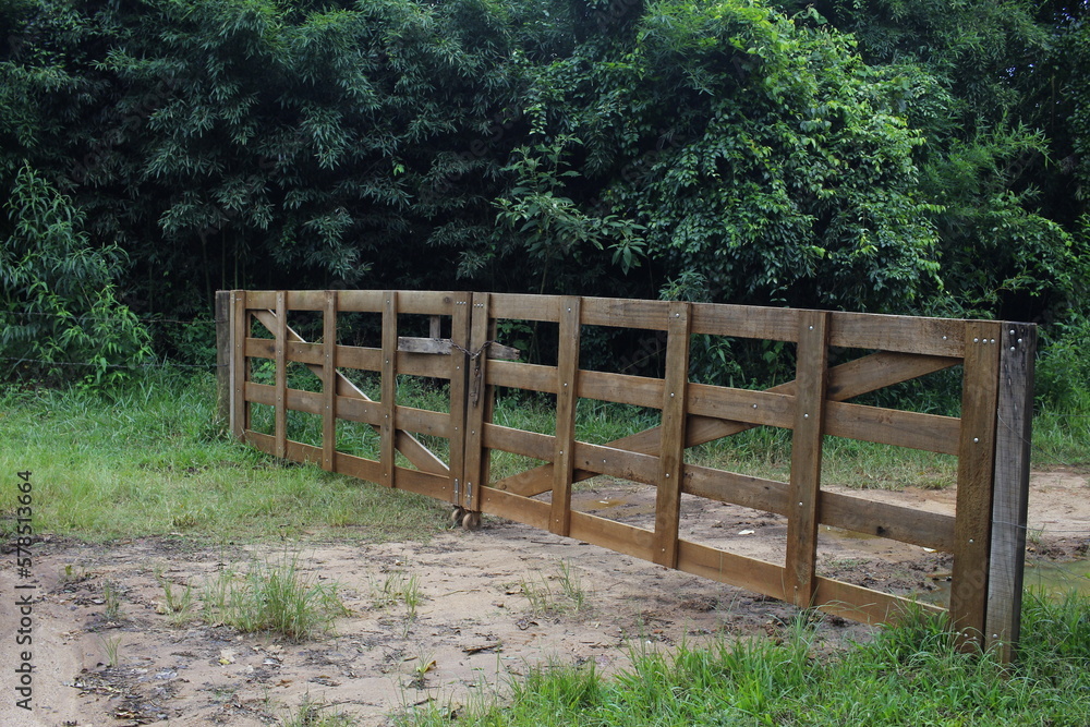 Closed wooden gate with green forest in the background Closed wooden gate with green forest in the background