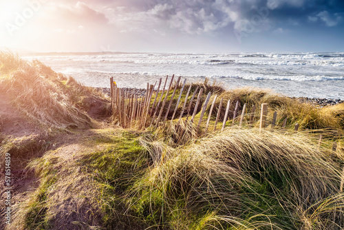 Tableau sur toile Tall grass and wooden fence on a dune by the ocean, blue cloudy sky
