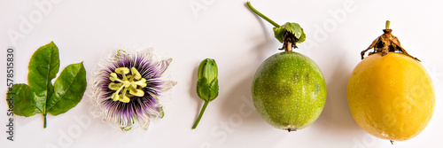 Leaf, flower and fruit of yellow passion fruit
