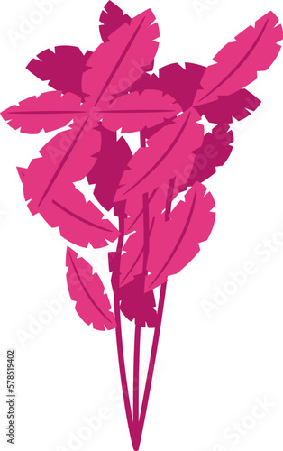 Red basil icon isometric vector. Fresh herb. Flavor cooking