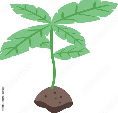 Basil plant icon isometric vector. Fresh herb. Natural organic