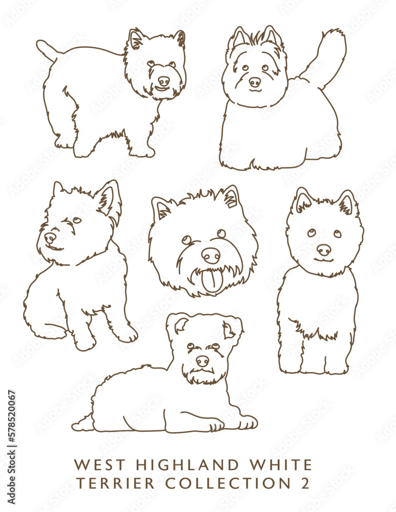 West Highland White Terrier Outline Illustrations in Various Poses Collection 2