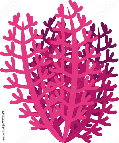 Pink seaweed icon isometric vector. Marine alga. Sea plant