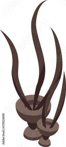 Brown alga icon isometric vector. Marine plant. Sea ocean
