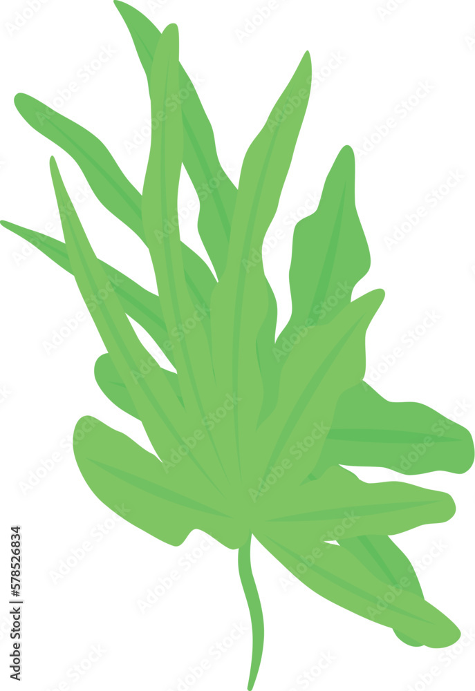 Leaf alga icon isometric vector. Marine plant. Aquatic coral Leaf alga icon isometric vector. Marine plant. Aquatic coral