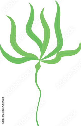 Spirulina plant icon isometric vector. Marine alga. Water coral