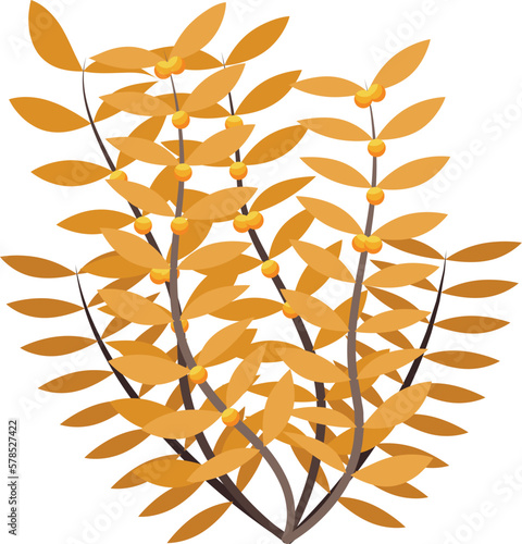 Ocean plant icon isometric vector. Marine algae. Deep moss