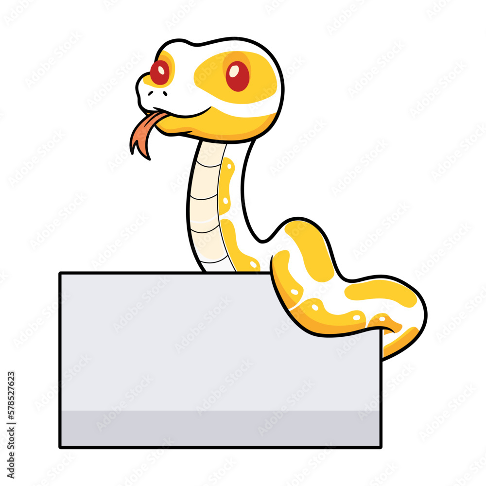 Fototapeta premium Cute albino ball python snake cartoon with blank sign