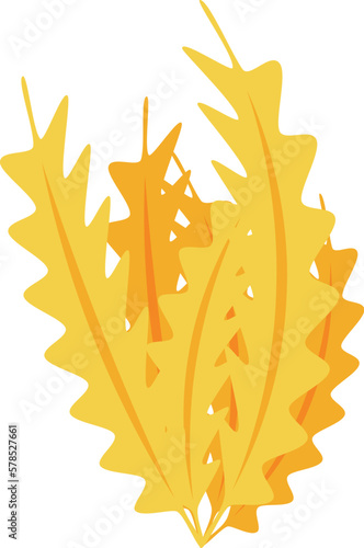 Sea moss icon isometric vector. Marine plant. Alga plant