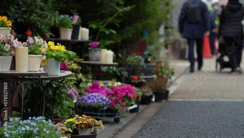 Wallpaper Mural 4K video with a flower shop on the side of a street with people walking in background. Place to buy flowers. Torontodigital.ca