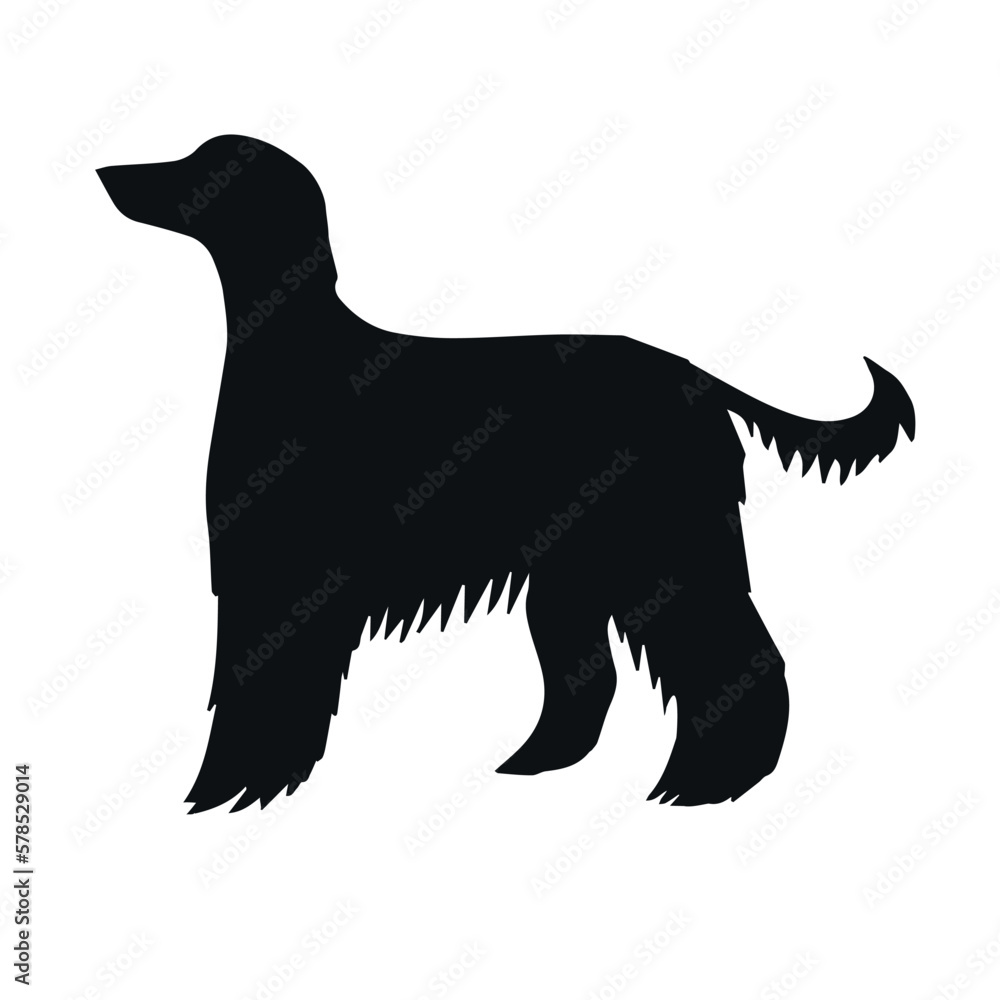 Vector hand drawn Afghan hound dog silhouette isolated on white background