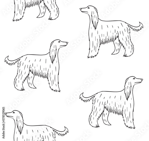 Vector seamless pattern of hand drawn doodle sketch Afghan hound dog isolated on white background