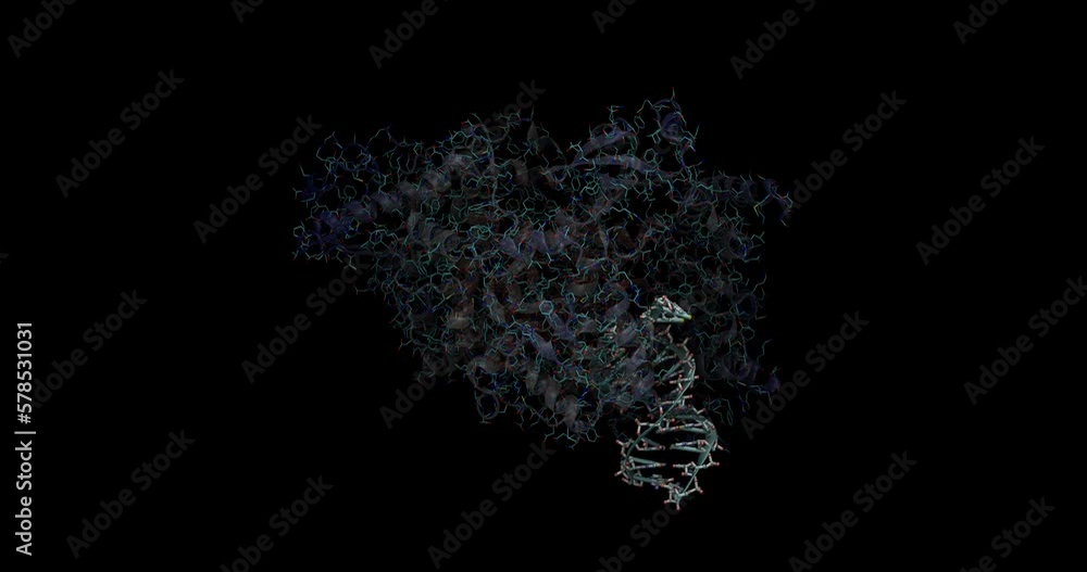 SARS-CoV- / Covid-10 RNA-dependent RNA polymerase with RNA 3D molecule 4K SARS-CoV- / Covid-10 RNA-dependent RNA polymerase with RNA 3D molecule 4K