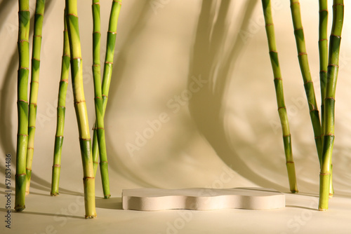 Green bamboo stems and plas...