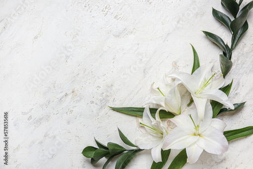 Composition with beautiful lily flowers and plant branches on light background