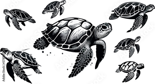 Set of turtles