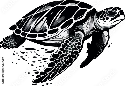 turtle on the water