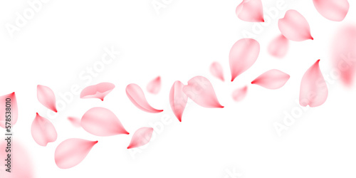 Flying sakura petals, vector pink flowers of japan cherry blossom falling down. Romantic spring floral background with sakura bloom, rose or peach flower petals flying, wedding or Valentine Day themes