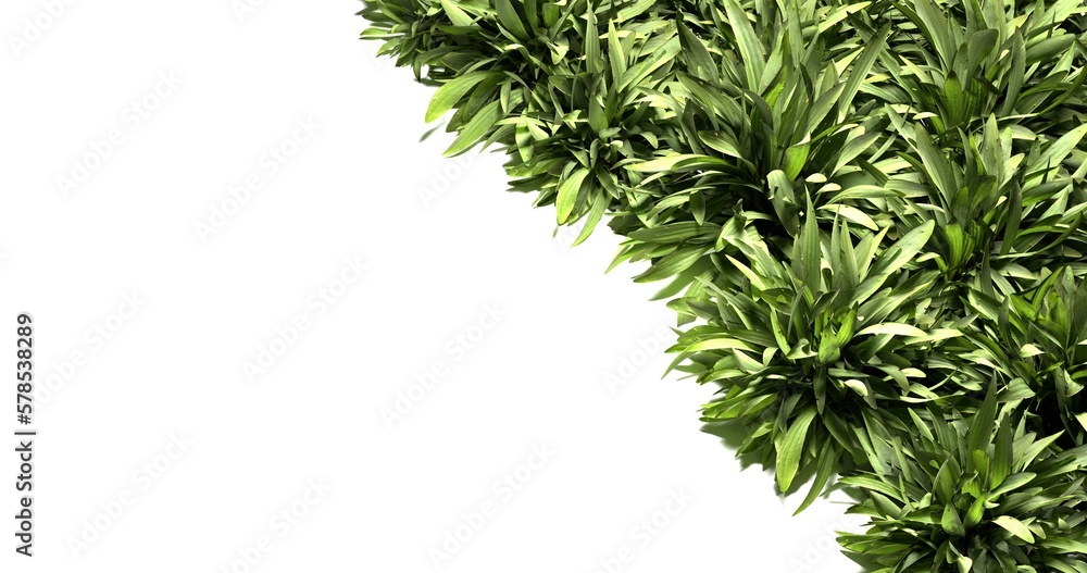 green ribbed plantain, plant, beautiful floral background, 3d render green ribbed plantain, plant, beautiful floral background, 3d render