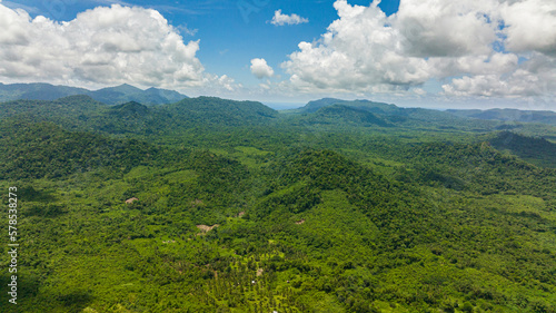 Fototapeta Naklejka Na Ścianę i Meble -  Mountains with rainforest and jungle in the mountainous province. Balabac, Palawan. Philippines.