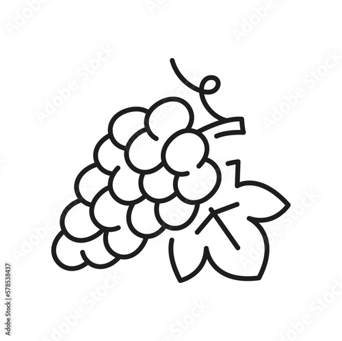 Outline grape berries isolated bunch with leaf thin line icon. Vector wine , vegetarian food dessert, isabella grape, sweet summer berries